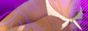 oCu/A_gObcʔ̓X@`Ai